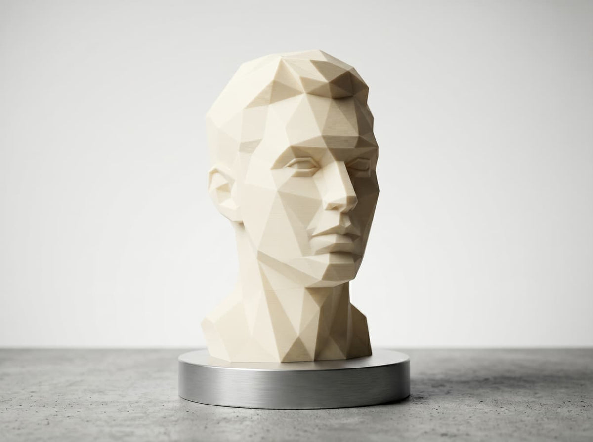 PLA PRO application